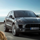 Illustration for article titled PETA Smacks Down Plan To Put Tiger Cubs In Porsche Dealerships